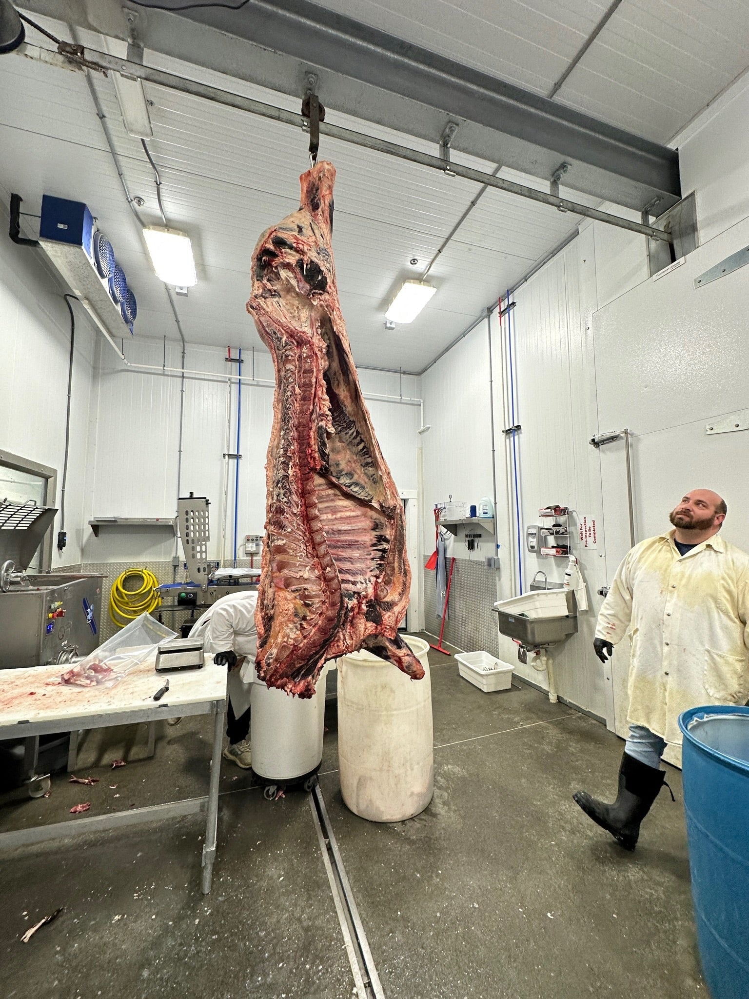 Why We Dry-Age