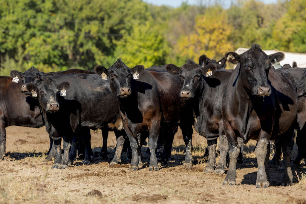 The GoodLife Guide to Buying Beef Online