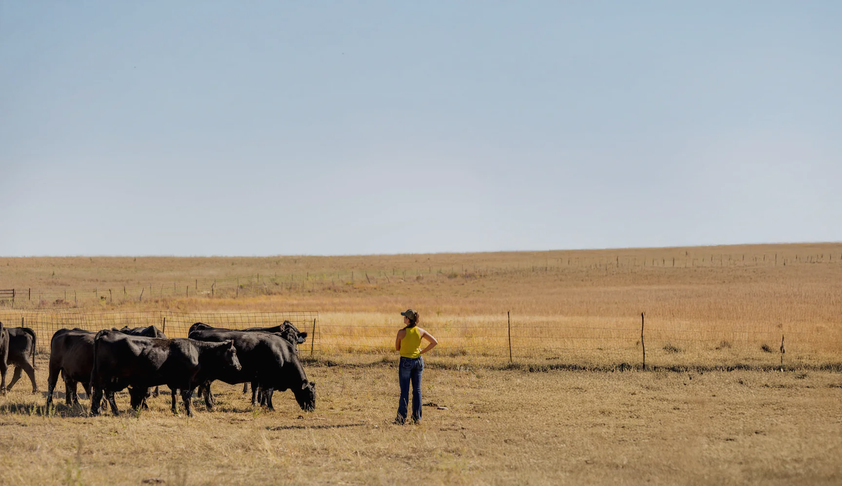 Nebraska-Raised Beef, Delivered to Your Door